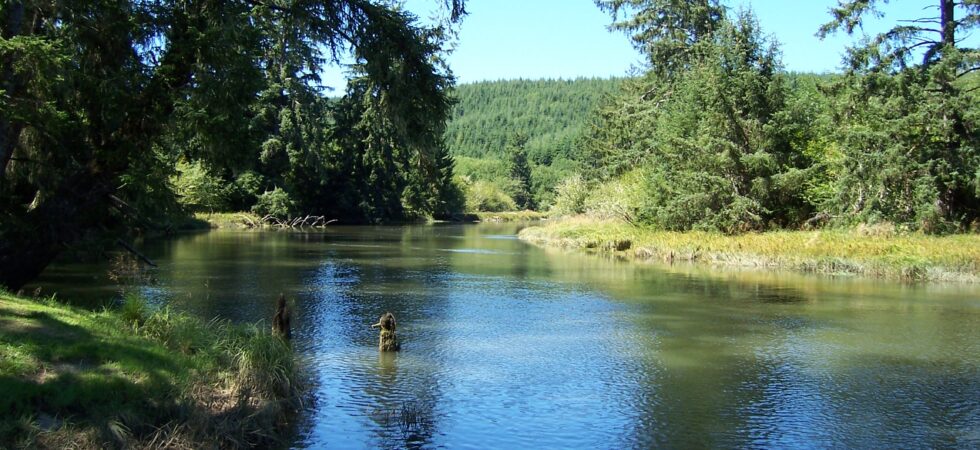 Hoquiam River (west fork) Boat Launch at Endresen.